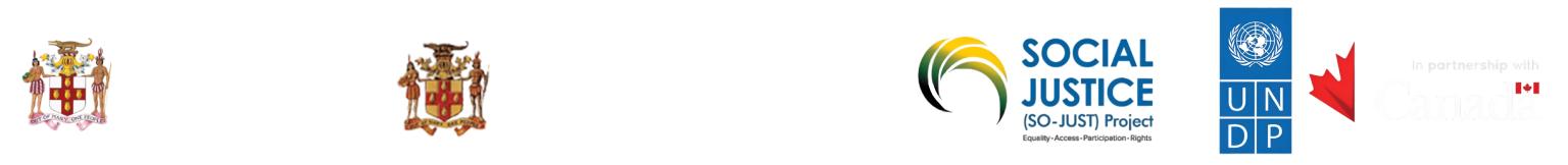 The Ministry of Justice, Administrator-General's Department, SP-Just Project, United Nations Development Programme in partnership with Canada